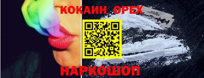крисы Будённовск