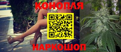 крисы Будённовск
