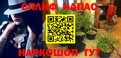 крисы Будённовск