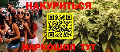 крисы Будённовск