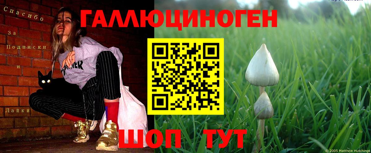 Псилоцибиновые грибы GOLDEN TEACHER  Вход с VPN  Павлово 